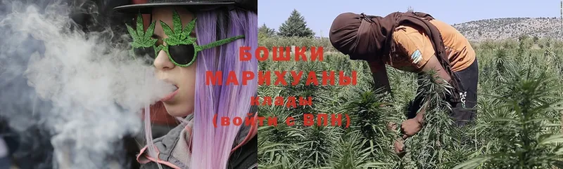 Бошки марихуана OG Kush  магазин    blacksprut ссылки  Гатчина 